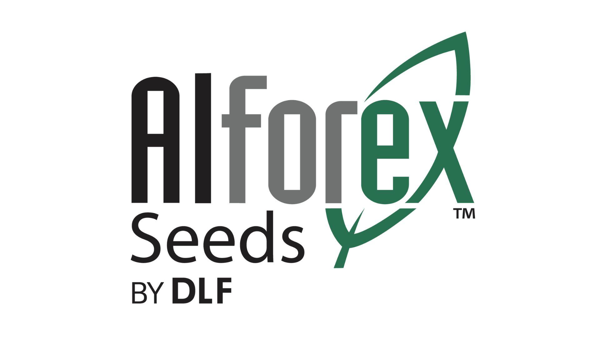 DLF Acquires Corteva Agriscience Alfalfa Breeding Program
