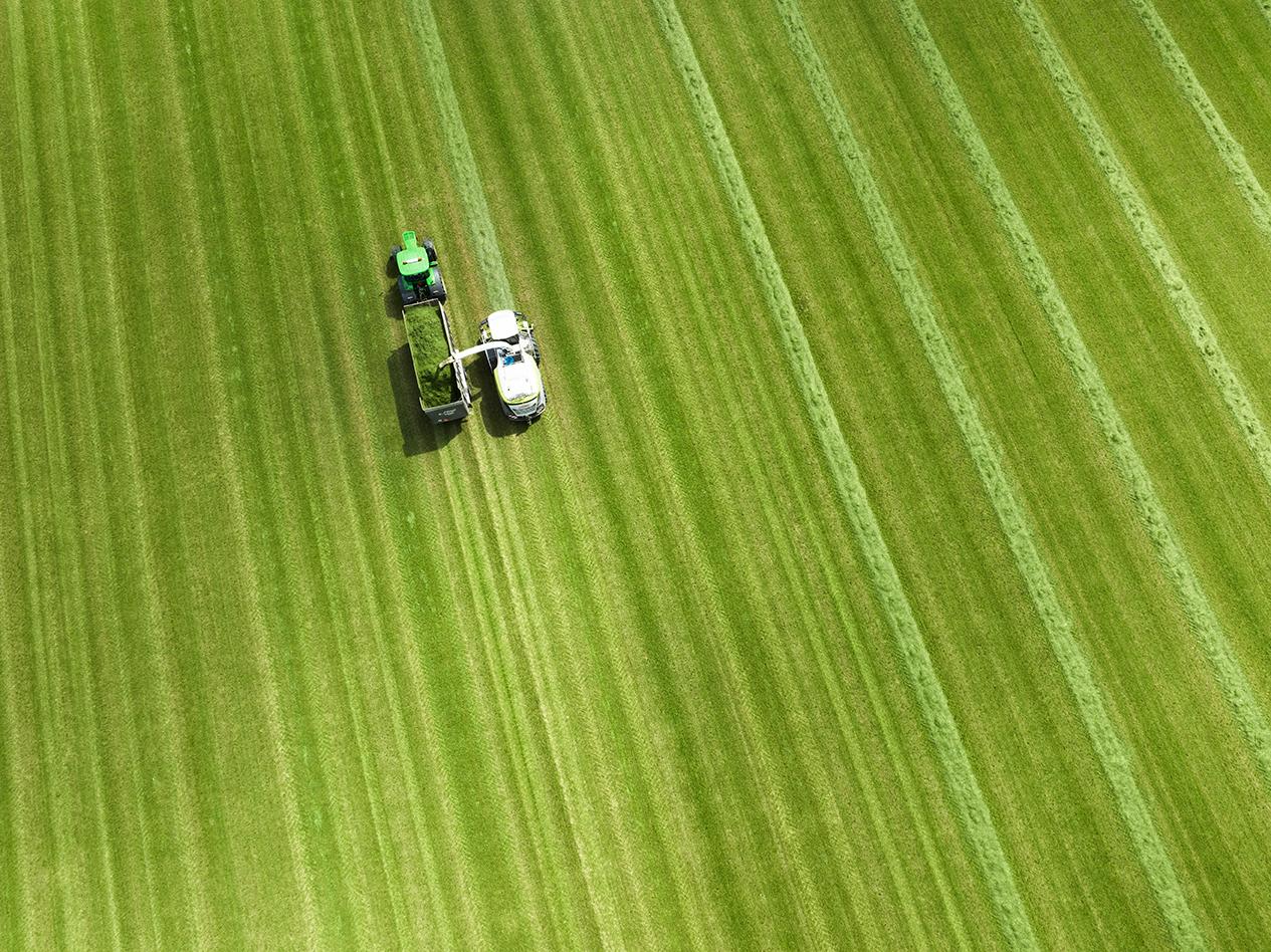 5 Factors to Turf Growers Winning on the Field and at the Farm