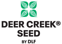 Deer Creek Seed by DLF