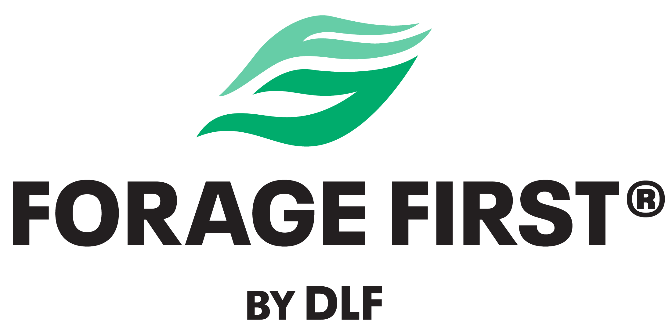 Forage First Logo Media Page